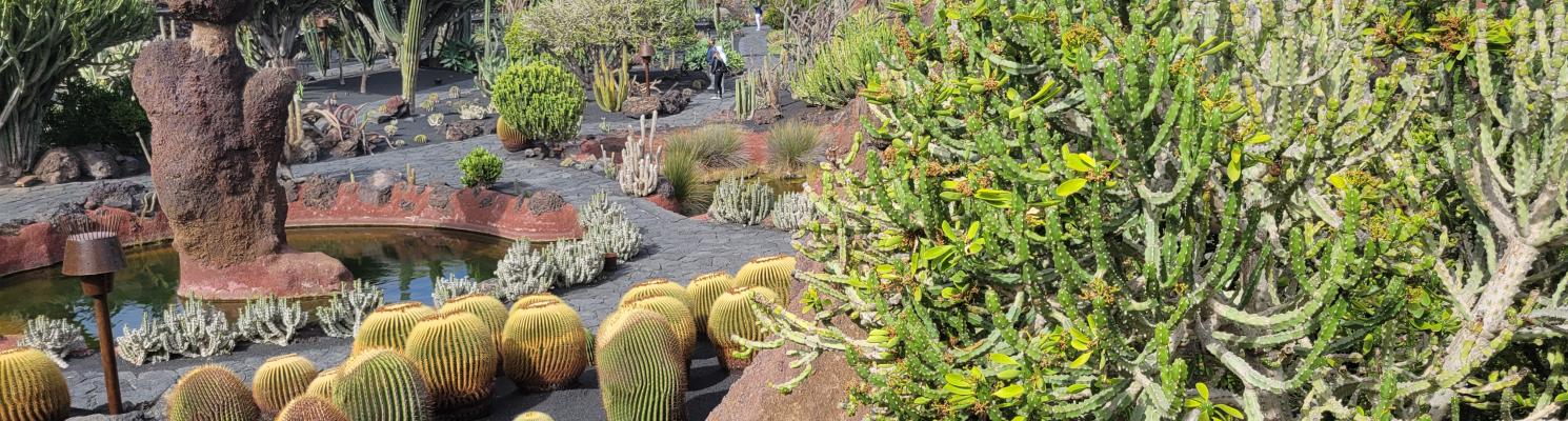 SÉJOUR AUX CANARIES À LANZAROTE 4*